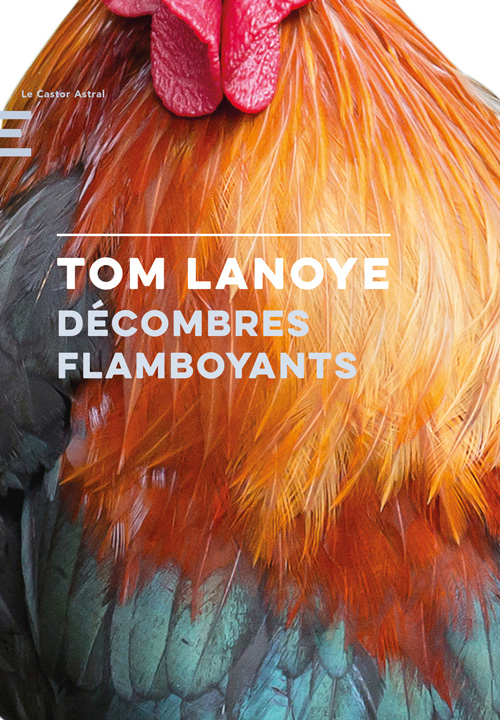 Tom Lanoye